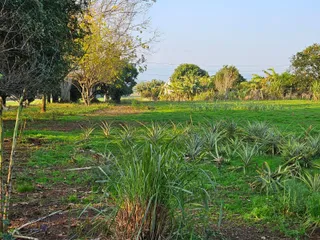 Área rural com 2 dormitórios, foto 9