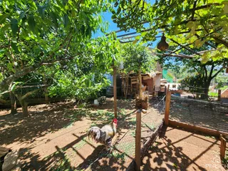 Casa com 4 dormitórios, foto 21