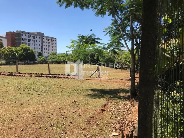 Terreno, foto 5