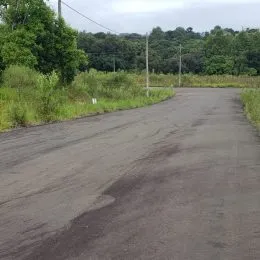 Vista de uma estrada de acesso em uma área com vegetação densa.