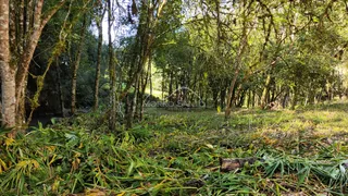Área rural, foto 9