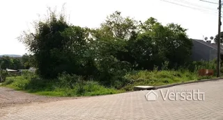 Terreno, foto 1