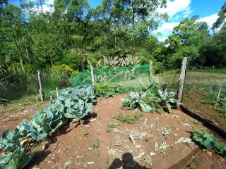 Área rural, foto 3
