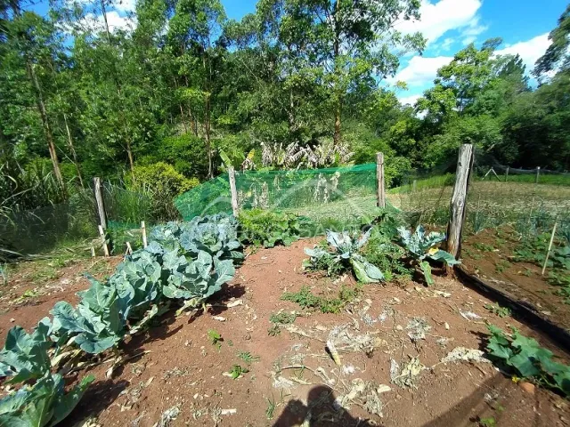 Área rural, foto 3