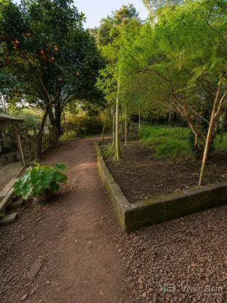 Casa com 4 dormitórios, foto 1