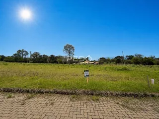 Campo gramado sob céu azul.