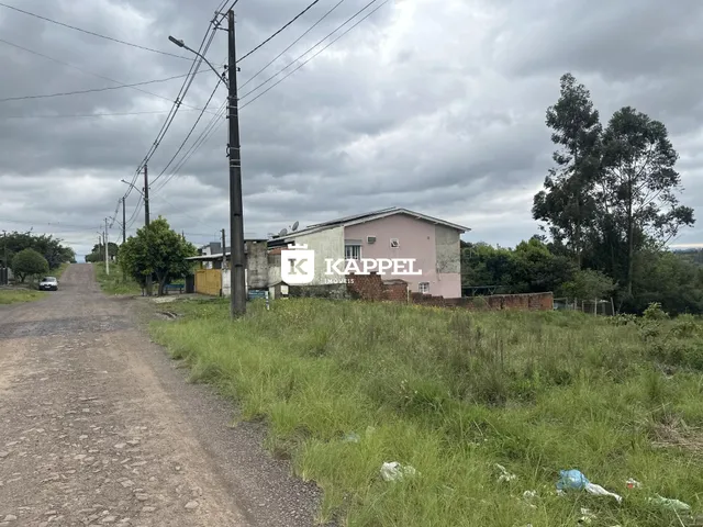 Terreno, foto 2