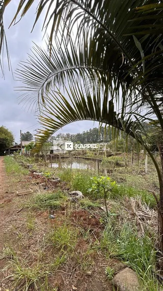 Foto de uma paisagem externa com vegetação densa e um corpo d'água.