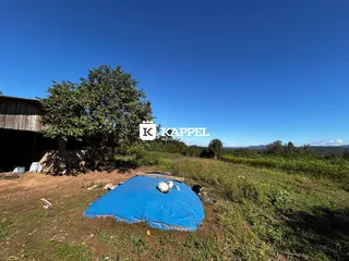 Vista externa de um terreno com vegetação e uma lona azul no chão.