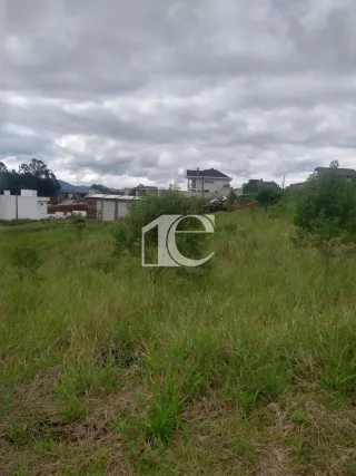 Terreno, foto 4