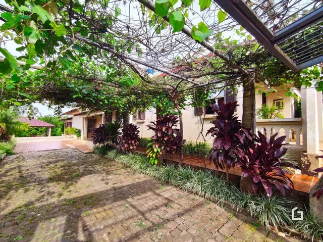 Vista externa do terreno com vegetação e área pavimentada.