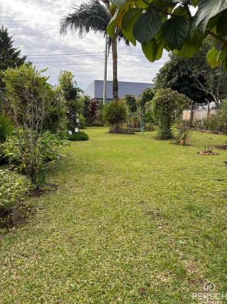 Vista de um gramado verde com árvores e vegetação no quintal de uma propriedade em Lajeado.