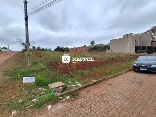 Vista externa de um terreno com vegetação e uma estrada de terra.