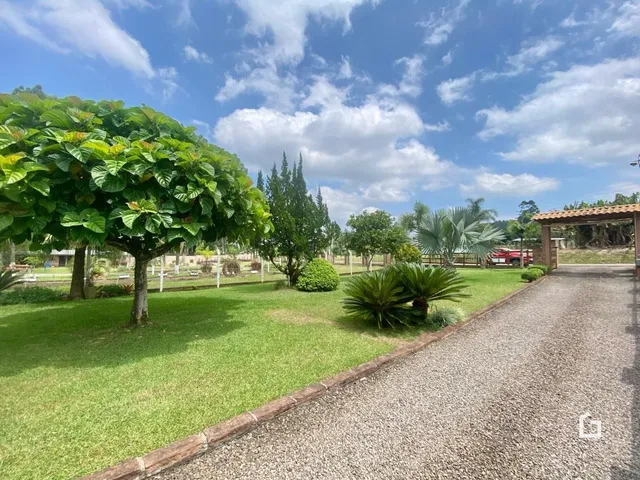 Área rural com 4 dormitórios, foto 4