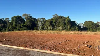Terreno, foto 3