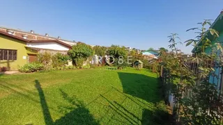 Terreno, foto 3