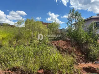 A foto mostra uma área externa com vegetação densa e terra no primeiro plano.