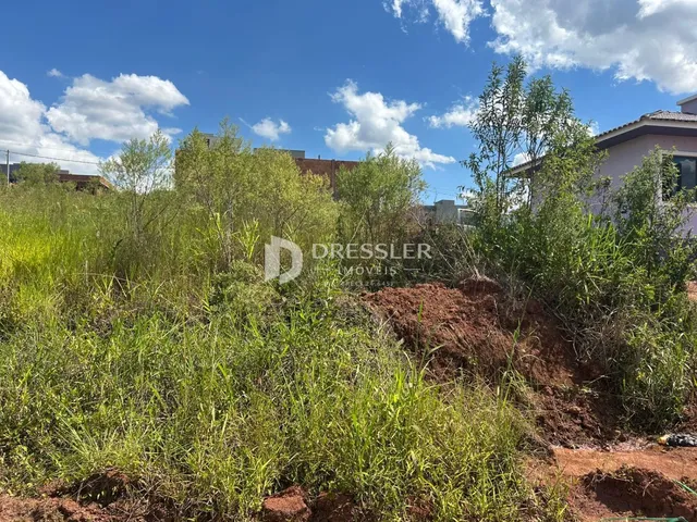A foto mostra uma área externa com vegetação densa e terra no primeiro plano.