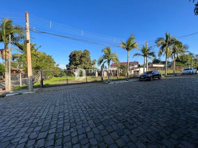Terreno, foto 3