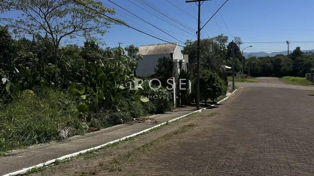 Terreno, foto 2