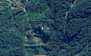 Área rural com 4 dormitórios, foto 37