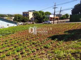 Terreno, foto 5