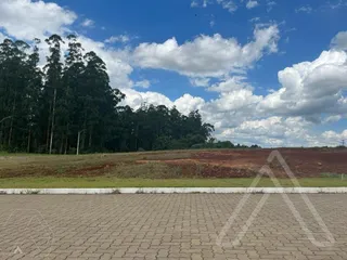 Terreno, foto 1