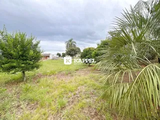 Vista externa de um terreno com vegetação e palmeiras sob um céu nublado.