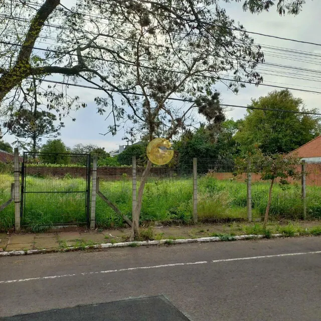 Terreno, foto 5