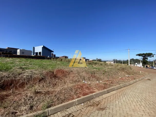 Terreno, foto 2