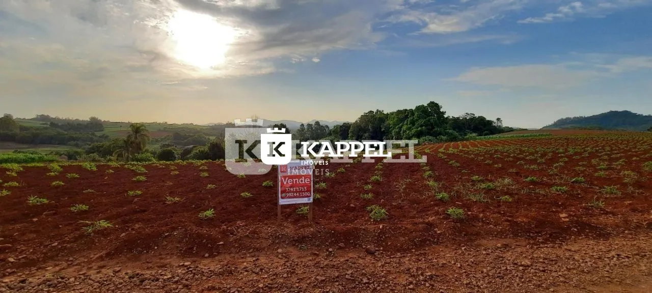 Vista aérea de uma área de terra com vegetação em um campo aberto.