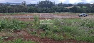 Terreno, foto 4