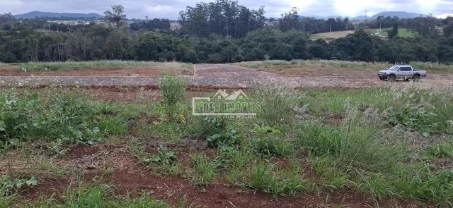 Terreno, foto 4