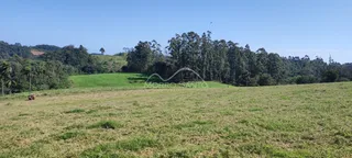 Campo aberto com vegetação e árvores ao fundo.