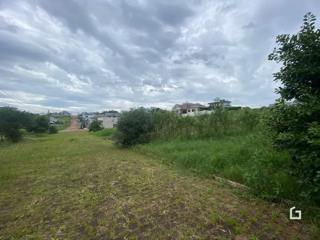 Terreno, foto 2