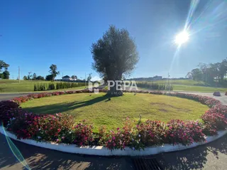 Terreno, foto 1