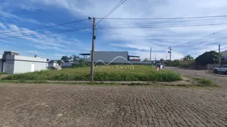 Vista externa de uma rua com vegetação e postes em Lajeado, Brasil.