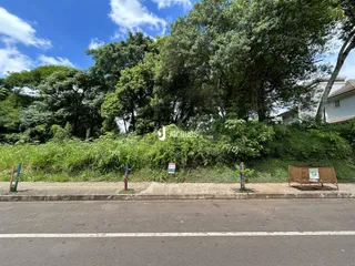 Vista da propriedade com vegetação densa ao lado de uma estrada.