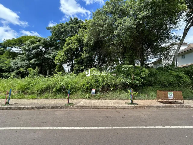 Vista da propriedade com vegetação densa ao lado de uma estrada.