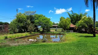 Vista externa de um jardim com um pequeno lago e vegetação sob um céu azul.