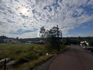 Vista da paisagem com vegetação e estrada em Lajeado, Brasil.