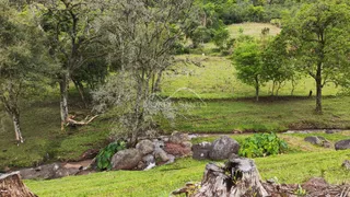 Área rural, foto 8
