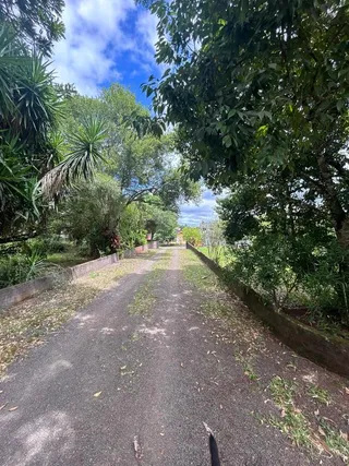 Área rural com 4 dormitórios, foto 4
