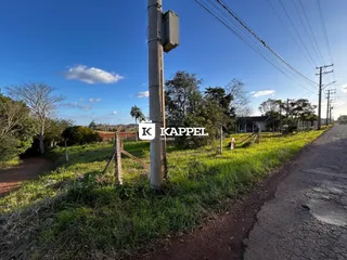 Vista externa de uma propriedade com vegetação e estrada de terra.