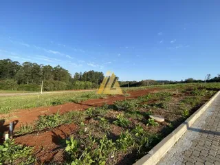Terreno, foto 4