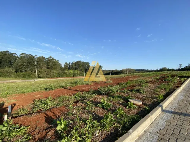 Terreno, foto 4