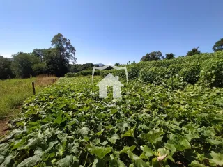 Área rural com 3 dormitórios, foto 20