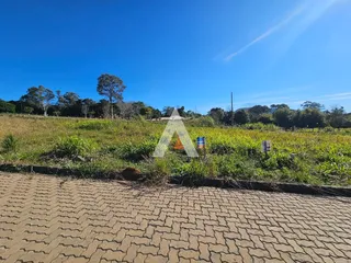 Terreno, foto 1
