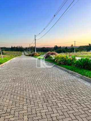Terreno, foto 3