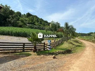 Vista de uma estrada de terra com cerca e vegetação verde ao fundo em uma área rural.
